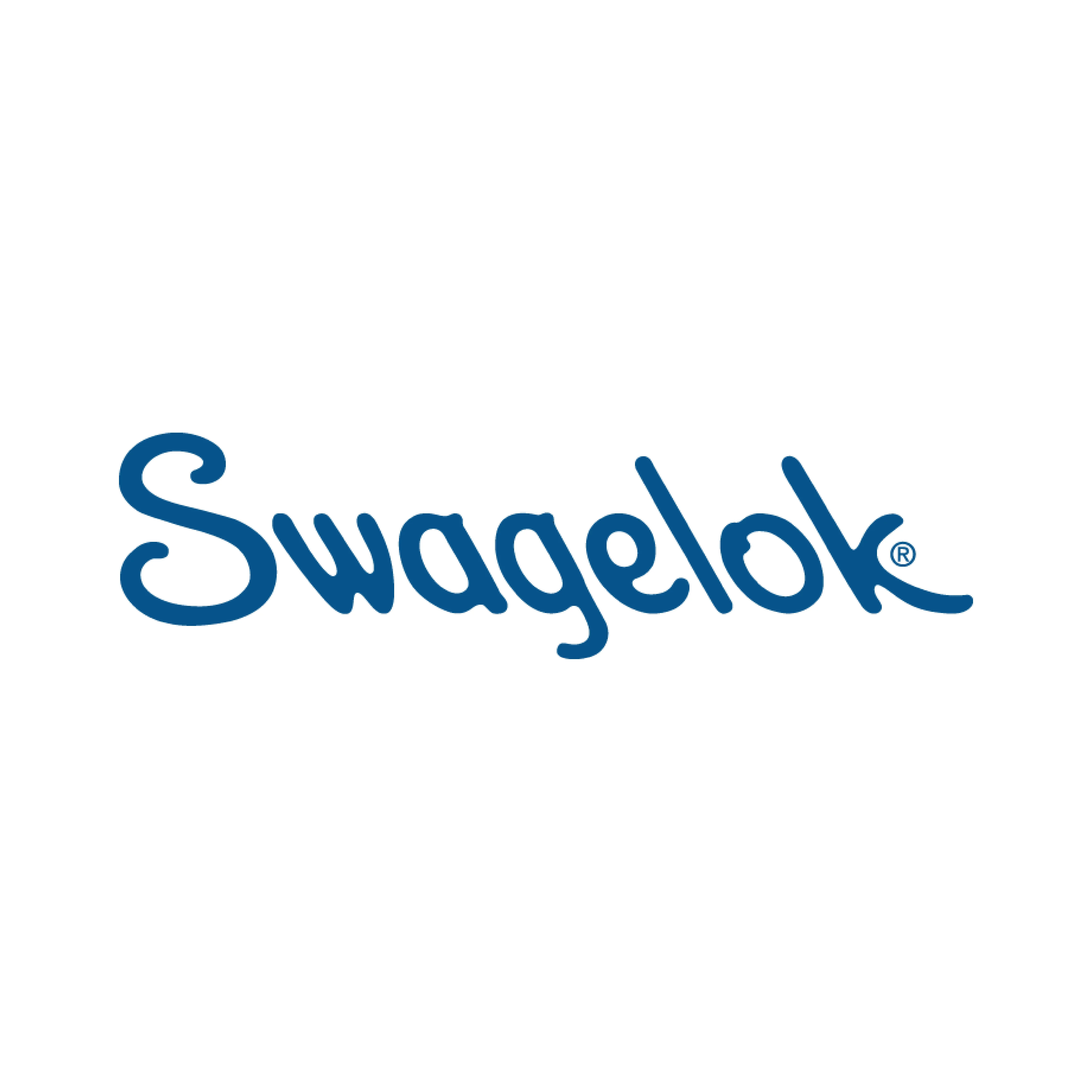 Swagelok logo in blue stylized text on a white background.